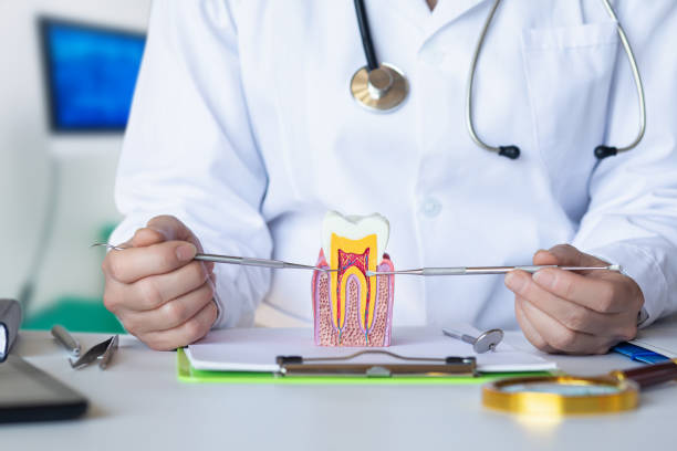 Best Emergency Wisdom Teeth Removal in Brookridge, FL